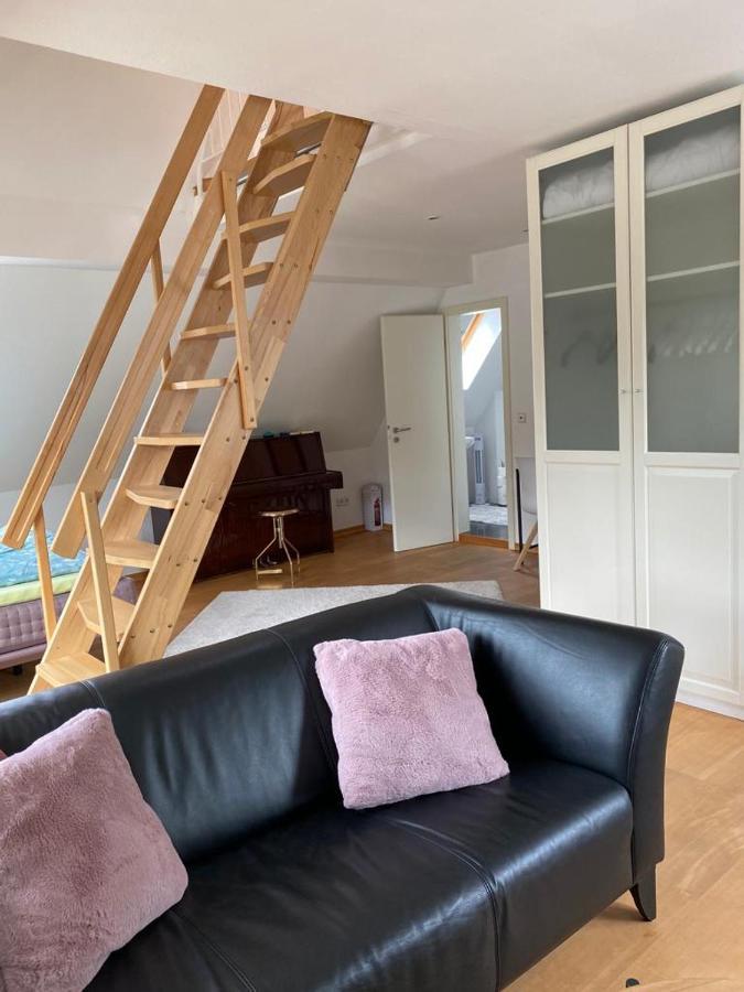 Ferienwohnung Moseltraum 科赫姆 外观 照片
