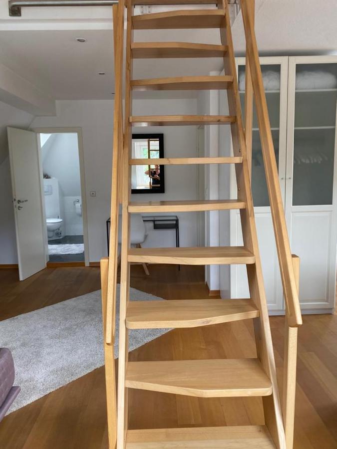 Ferienwohnung Moseltraum 科赫姆 外观 照片